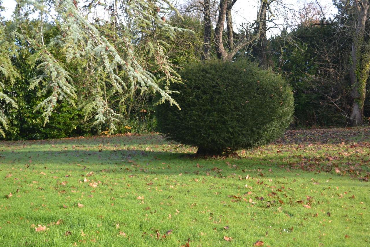 Manoir De Graincourt 호텔 Derchigny 외부 사진